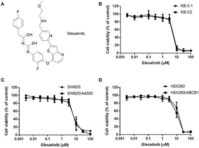 Glesatinib, a c-MET/SMO Dual Inhibitor, Antagonizes P-glycoprotein Mediated Multidrug Resistance in Cancer Cells